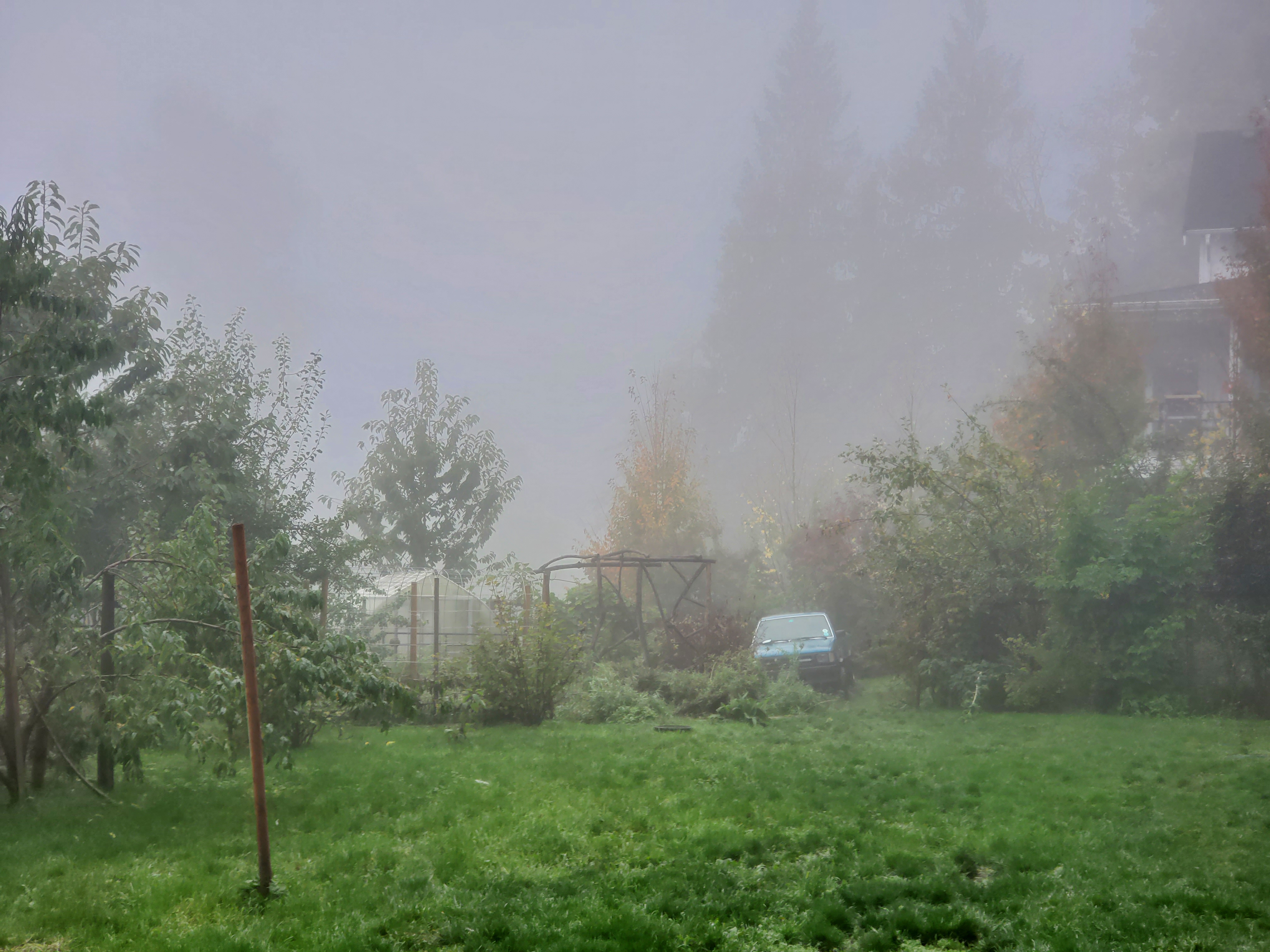 Farm